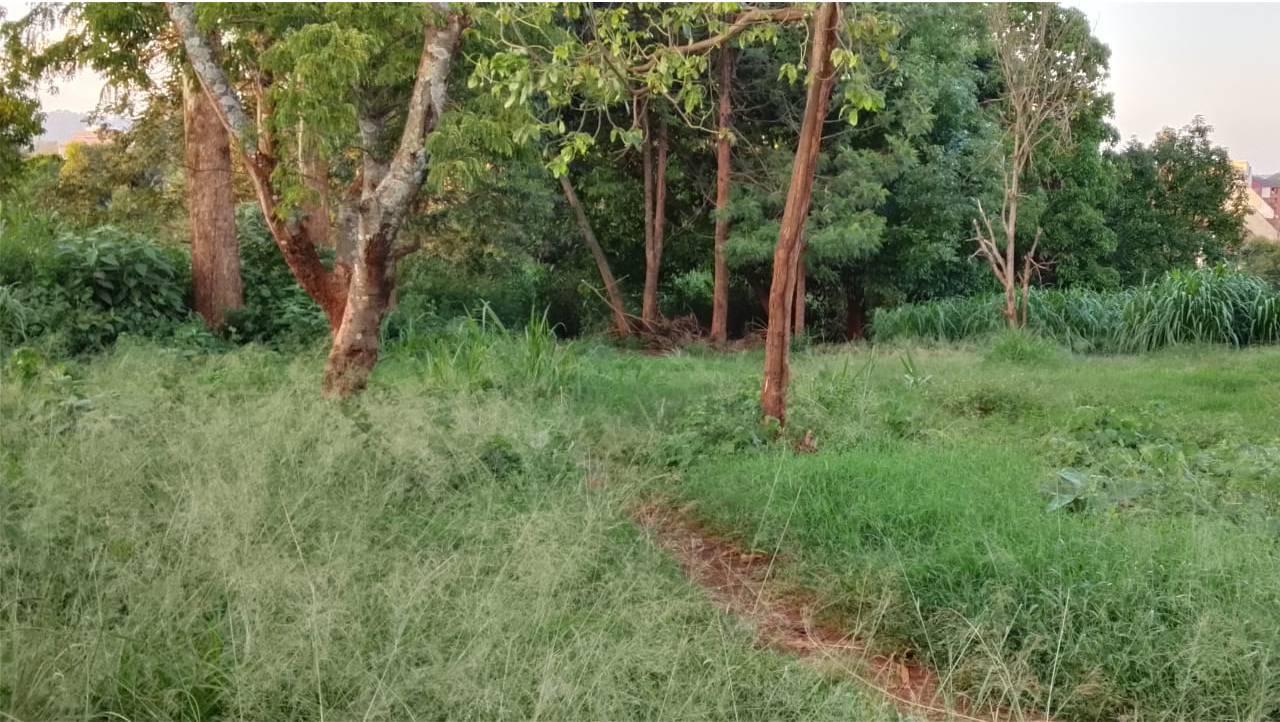 Prime Land for Sale in Ruaka